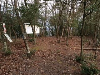 IMG_7087.jpg