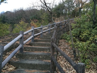 IMG_7723.jpg