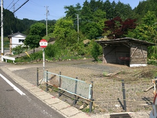 IMG_8134.jpg